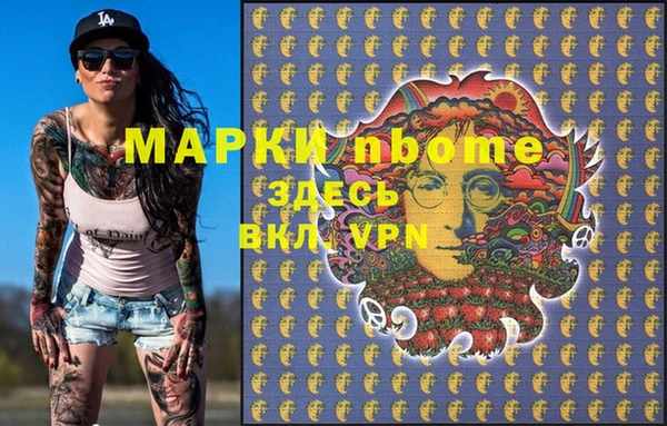 шишки Приозерск