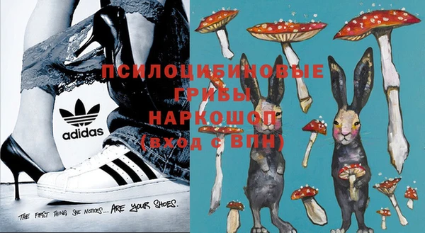 шишки Приозерск
