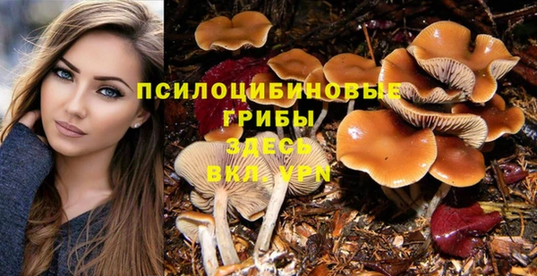 шишки Приозерск