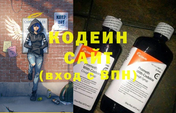 шишки Приозерск